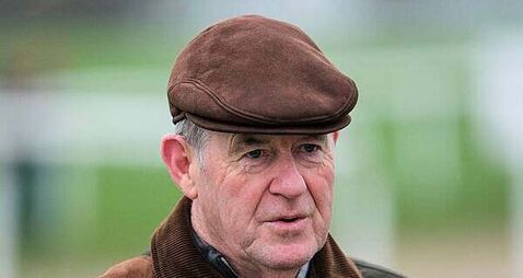 JP McManus's International Rugby Experience in Limerick records losses of €1.05m