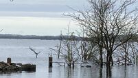 'Waters are at an extremely high level' at Lough Funshinagh