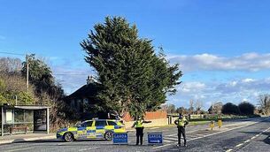 Meeting with Minister on Michael Shine inquiry 'very positive', says patients group