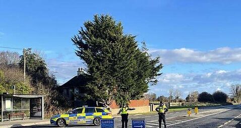 Bus Éireann says 'loss of a colleague is a shock' after fatal Meath collision