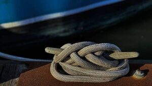 Planning approved for new fisheries base in County Roscommon