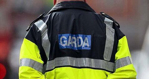 Garda appeal after hit-and-run in Limerick