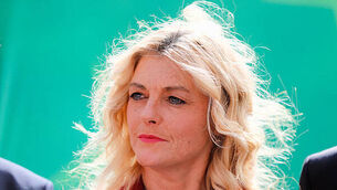 Testing ramped up after bluetongue virus thought likely to have reached Co Down