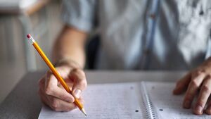 Over 38% of households in Roscommon have their say on primary school survey