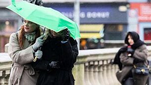 Young ‘cautious’ over potential reintroduction of wolves and lynx in the wild