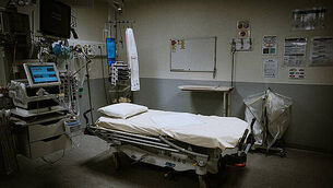 Further bluetongue cases confirmed in Co Down herd Further bluetongue cases confirmed in Co Down herd