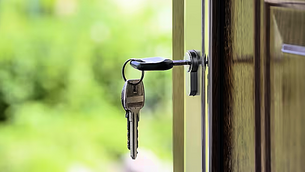 Bluetongue suspected in second herd in Co Down Bluetongue suspected in second herd in Co Down