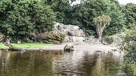 Fota Wildlife Park reopening date set after avian flu closure