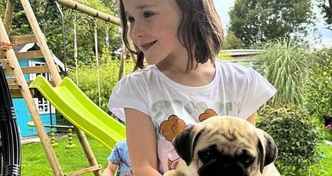 Meath girl (6) gets Christmas wish with return of dogs