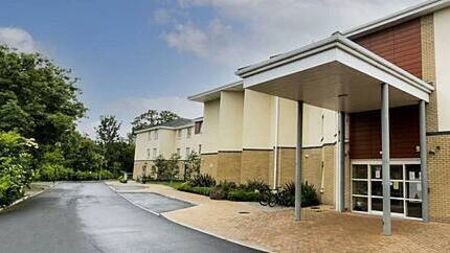 Nursing group at centre of RTÉ undercover exposé makes €8m operating profit in 2024