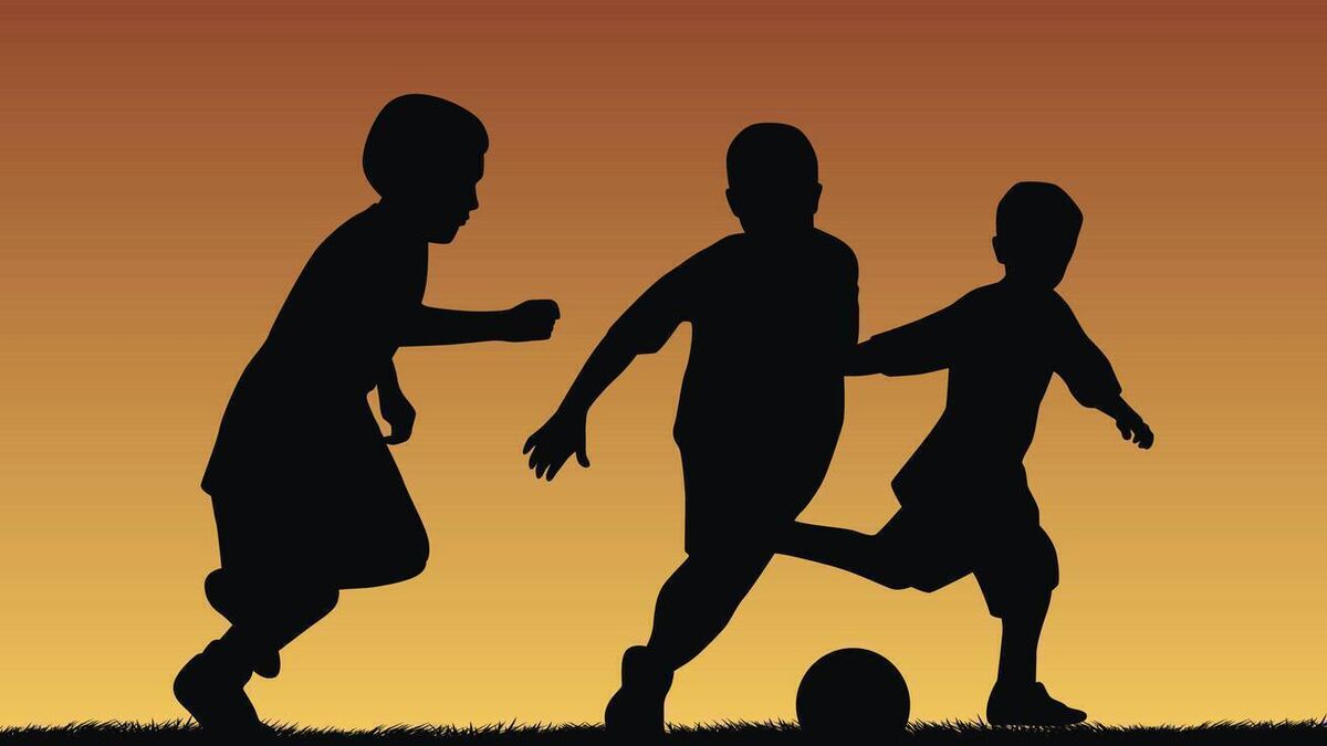 County Roscommon football club seeking to buy land to develop 'state-of-the-art football facility'