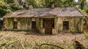 Derelict County Roscommon cottage has endless possibilities