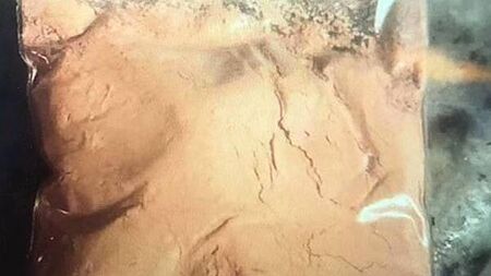 Crime solving agency sounds warning over 'rising threat' of synthetic opioid drugs in 2024