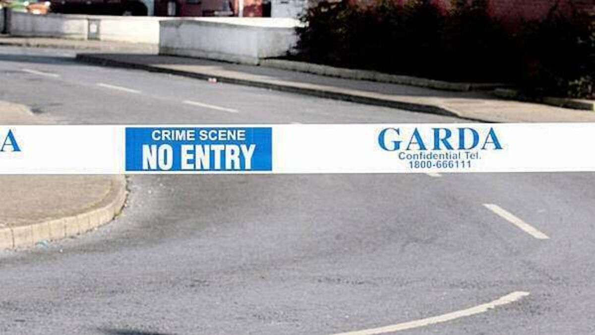 Woman (70s) dies in car crash in Limerick