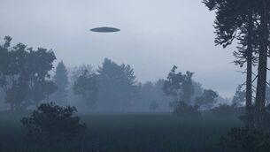 <p>Are you interesting in an evening of spotting alien some life forms over Boyle skies? </p>