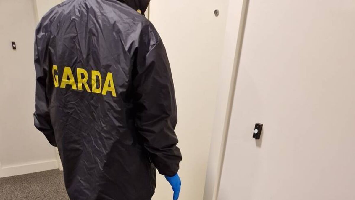 Gardaí issue appeal after spate of local burglaries