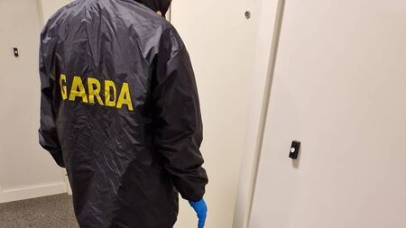 Gardaí issue appeal after spate of local burglaries