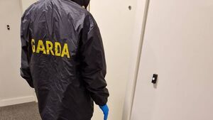 Gardaí issue appeal after spate of local burglaries