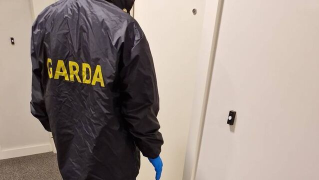 Gardaí issue appeal after spate of local burglaries