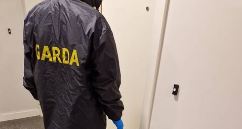 Gardaí issue appeal after spate of local burglaries