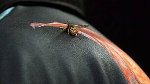 Stephen Bunting holds nerve to edge into second round of World Championship Stephen Bunting holds nerve to edge into second round of World Championship