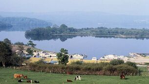 Woman (60s) dies in two-car collision in Co Cork Woman (60s) dies in two-car collision in Co Cork