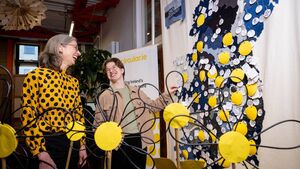 Funding granted to Roscommon craft designer