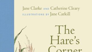 <p>'The Hare's Corner' by Jane Clarke and Catherine Cleary.</p>