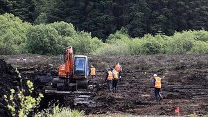 Latest search for Disappeared teenager Columba McVeigh ends without success