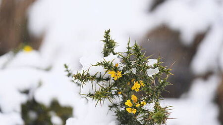 Temperatures set to plummet with Christmas snow possible