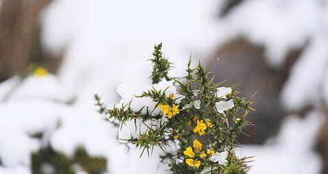 Temperatures set to plummet with Christmas snow possible