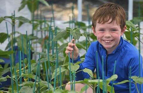 Roscommon's Joe (9) helping Children’s Health Foundation ‘Save a Smile’ this Christmas