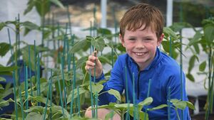 Roscommon's Joe (9) helping Children’s Health Foundation ‘Save a Smile’ this Christmas