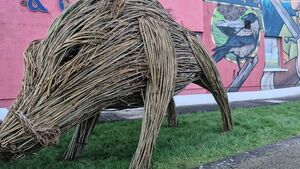 Never 'boaring' at Rathcroghan Visitor Centre