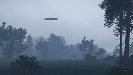 Close encounters of a kind over Lough Key