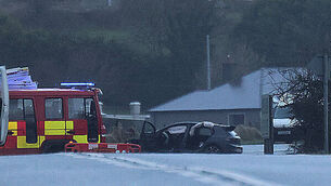 Irish beef exports to China suspended after case of BSE Irish beef exports to China suspended after case of BSE