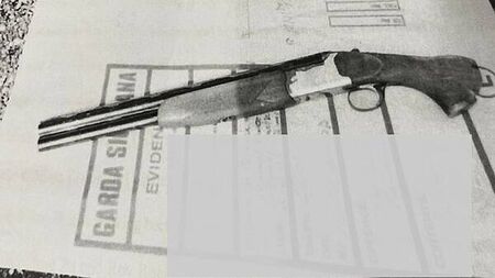 Limerick brothers jailed for 14 years for gun attack on family’s home