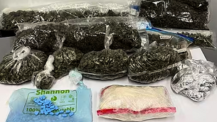 Whistleblower Garda granted permission to pursue case against commissioner over reduced sick pay Whistleblower Garda granted permission to pursue case against commissioner over reduced sick pay