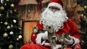 USPCA expands support for pet owners experiencing poverty