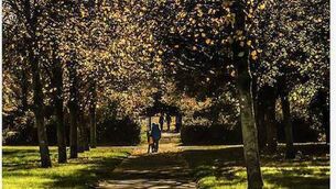 <p>€300,000 has also been awarded to Roscommon for pedestrian connectivity linking the Town Square to Loughnaneane Park.</p>