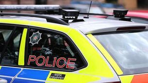 Animal charity warns dog owners their pets 'naturally resent' wearing clothes and jewellery