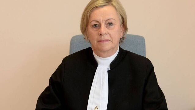 <p>Judge Karen Fergus has been praised for her for her kindness, knowledge and professionalism. Pic:The Irish Times</p>