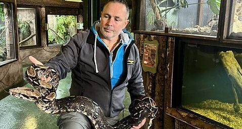 Reptile expert warns over ‘surprising’ lack of regulation on exotic pets