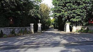 Man (30s) arrested after over €200k worth of drugs seized in Co Carlow Man (30s) arrested after over €200k worth of drugs seized in Co Carlow