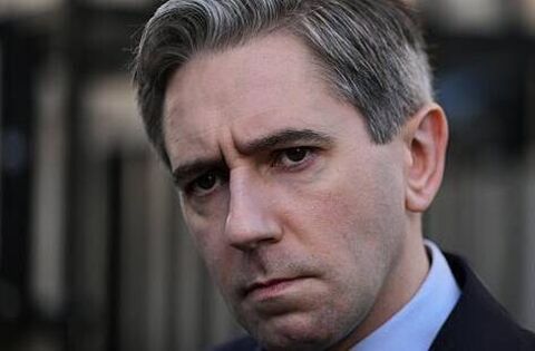 'Significant number' in emergency accommodation 'don't have housing rights' — Tánaiste