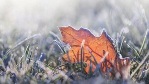 Snow-ice warning issued for County Roscommon