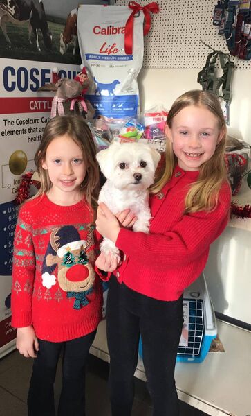 Well done to Michelle Dockery and Bonnie for winning the Christmas dog hamper at Emlagh Lodge Veterinary Clinic. Well done to Michelle Dockery and Bonnie for winning the Christmas dog hamper at Emlagh Lodge Veterinary Clinic.