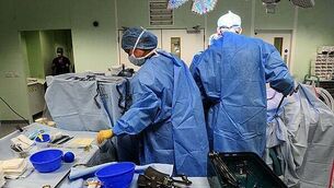 Gardaí seize €2.25m worth of cannabis in Westmeath growhouses