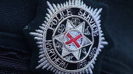 Man arrested after traffic attendant and police assaulted in Co Down