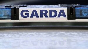 Four men arrested by gardaí investigating criminal damage at homes in Mayo